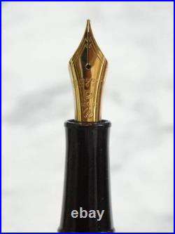 Platinum Marble Ebonite Fountain Pen 14K Gold Nib JIS Rare Used