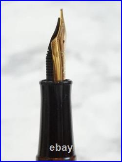 Platinum Marble Ebonite Fountain Pen 14K Gold Nib JIS Rare Used