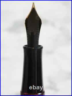 Platinum Marble Ebonite Fountain Pen 14K Gold Nib JIS Rare Used