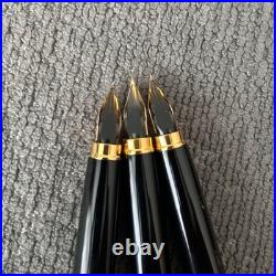 Platinum Rare Fine Nib Black 18K Gold Fountain Pen Black Japan