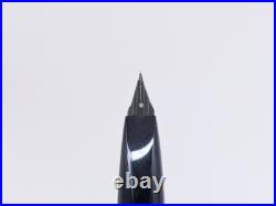 Platinum Stainless Short Fountain Pen 18K WG M Nib Vintage 1970s Rare Japan