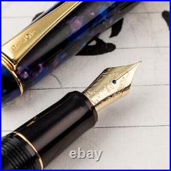 RARE PILOT Custom LEGANCE 14K Two Nib Bundle Fountain Pen