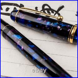 RARE PILOT Custom LEGANCE 14K Two Nib Bundle Fountain Pen