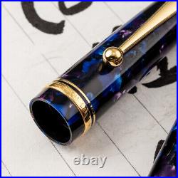 RARE PILOT Custom LEGANCE 14K Two Nib Bundle Fountain Pen