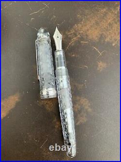 RARE PLATINUM Fountain Pen Century 3776 Clear Rikka Nib F 14K