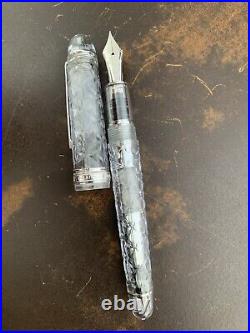 RARE PLATINUM Fountain Pen Century 3776 Clear Rikka Nib F 14K