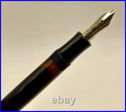 Rare 1950's MINT MONTBLANC 244 Celluloid Fountain Pen- AEG- 14k KF Nib-Restored