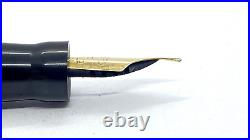 Rare Blackbird Self Filling Pen, 5276, Solid Green, Semi Flex, 14k Medium Nib