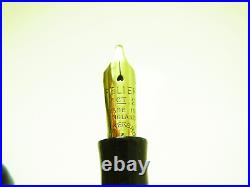 Rare ESTERBROOK RELIEF No 2 L Blue Marbled Fountain Pen 14ct OBB Nib