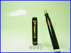 Rare German 1930´s LUXOR VISIBLE 57 1/2 Fountain Pen Flexy 14ct M Nib F to BB