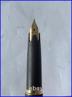 Rare NEW Sailor Dai-ichi Life 70th Anniversary Fountain Pen 14K Gold Nib Japan