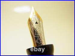 Rare NOS 1996 Italian DELTA COLOSSEUM L. E. Fountain Pen Flexy 18K EF EF-B