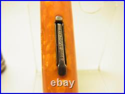 Rare NOS 1996 Italian DELTA COLOSSEUM L. E. Fountain Pen Flexy 18K EF EF-B