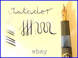Rare NOS 50´s MATADOR CLICK 421 Guilloche Fountain Pen RARE Gray Color Flexy EF