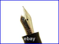 Rare NOS Italian DELTA PASSION Fountain Pen Flexy 14K F Silver Accents