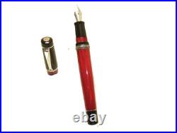 Rare NOS Italian DELTA PASSION Fountain Pen Flexy 14K F Silver Accents