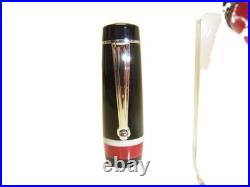 Rare NOS Italian DELTA PASSION Fountain Pen Flexy 14K F Silver Accents