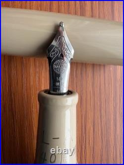 Rare Nakaya Dorsal Fin 2 Fountain Pen Elastic BB Nib Gray Roiro Landolt-Arbenz