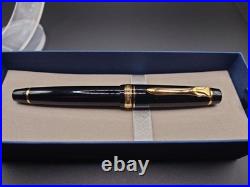 Rare New Sailor Professional Gear Sigma 21K Bi-Color H-M Fountain Pen Gold