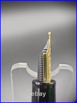 Rare New Sailor Profit 21 Zoom Z Nib 21K Large Fountain Pen Discontinued