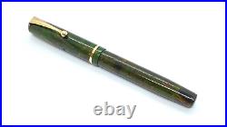 Rare Nib! Parker Slender Moderne Pen, Green & Bronze, Semi Flex, 14k Om Nib