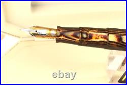 Rare Omas EXTRA PARAGON Fountain Pen ARCO Celluloid 18K M nib NEW Year 1997