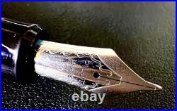 Rare PILOT Bamboo Fountain Pen Wine Red 14K Nib Unique Design Collectible