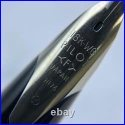 Rare PILOT Custom Stripe Fountain Pen Fine Nib Vintage Model H176