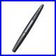 Rare_PILOT_Myu_701_H176_F_Nib_Discontinued_Fountain_Pen_Japan_01_ylec