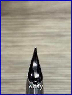 Rare PILOT Myu 701 H176 F Nib Discontinued Fountain Pen Japan