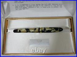 Rare Platinum 70th Anniversary Fountain Pen, Piston Filler, New