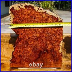Rare! Red AMBOYNA BURL LUMBER Live Edge Block Blank Wood DIY Resin Epoxy Pen Gun