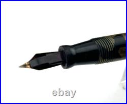 Rare SCHNELL PENSELPEN Fountain Pen Pencil Combo Celluloid 14K Fine Flex nib