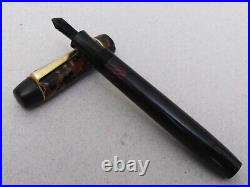 Rare Unique Celluloid Piston Fountain Pen Nchrome Extra EF Nib Vintage