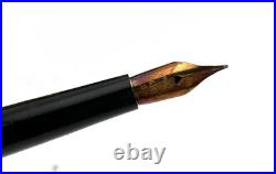 Rare Vintage CAREY Secretary Fountain Pen GF Filigree Overlay 14K Fine nib