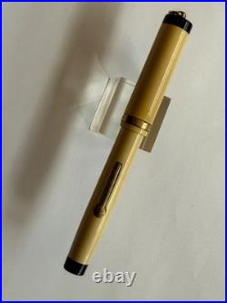 Rare Vintage Ring Top John Holland JEWEL Fountain Pen, White, New Sac, Great