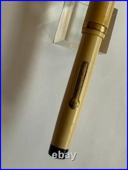 Rare Vintage Ring Top John Holland JEWEL Fountain Pen, White, New Sac, Great