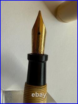 Rare Vintage Ring Top John Holland JEWEL Fountain Pen, White, New Sac, Great