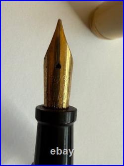 Rare Vintage Ring Top John Holland JEWEL Fountain Pen, White, New Sac, Great