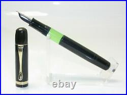 Rare Vintage TAYLORIX (PELIKAN 100N) Pistonfiller Fountain Pen DF Nib