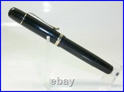 Rare Vintage TAYLORIX (PELIKAN 100N) Pistonfiller Fountain Pen DF Nib