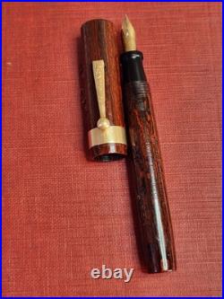 Rare Wood Grain Ebonite The Lakeside Fountain Pen Montgomery Ward 14k Gold NIB