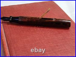 Rare Wood Grain Ebonite The Lakeside Fountain Pen Montgomery Ward 14k Gold NIB