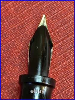 Rare Wood Grain Ebonite The Lakeside Fountain Pen Montgomery Ward 14k Gold NIB