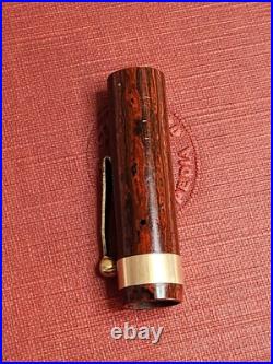 Rare Wood Grain Ebonite The Lakeside Fountain Pen Montgomery Ward 14k Gold NIB