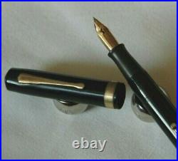 Rare and Sought After Fountain Pen from Waterman's Collection 7 Gold Nib H310