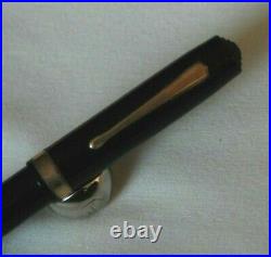 Rare and Sought After Fountain Pen from Waterman's Collection 7 Gold Nib H310