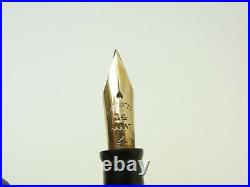 Rare & nice antique BCHR REXALL fountain pen flexy 14ct F nib Freshly serviced