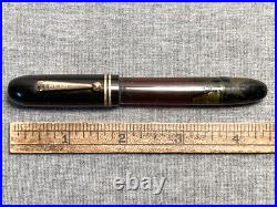 Sager Transparo Barrel Of Ink Rare Stub Fountain Pen Butter Flexible Nib