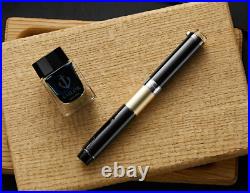 Sailor 110th Anniversary Fountain Pen Premium Limited 110pcs Nib F/M NEW Rare